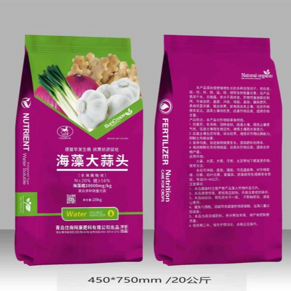 海藻大蒜头